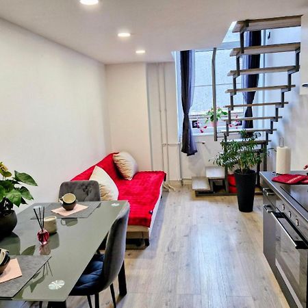 Apartmán Ljubljana Nest- Centre, Free Parking- Renovated August 2024 Exteriér fotografie