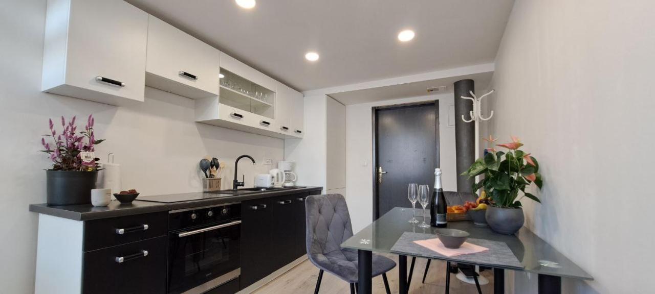 Apartmán Ljubljana Nest- Centre, Free Parking- Renovated August 2024 Exteriér fotografie